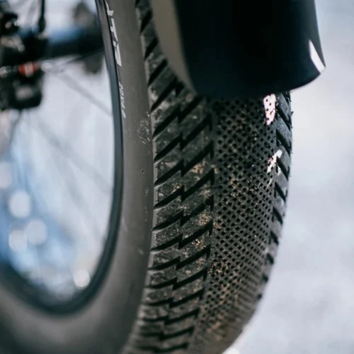 BUITENBAND 20X4.00 100-406 DELI STREETFIGHTER FATBIKE ZWART + R