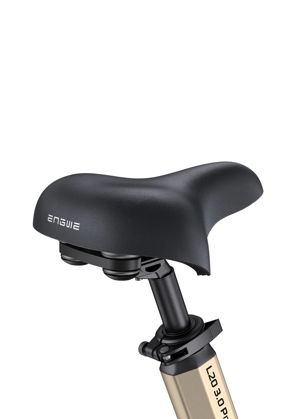 ENGWE L20 3.0 Pro E-Bike