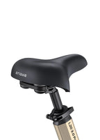 ENGWE L20 3.0 Pro E-Bike