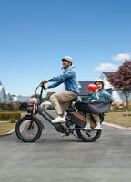 ENGWE LE20 Cargo E-Bike